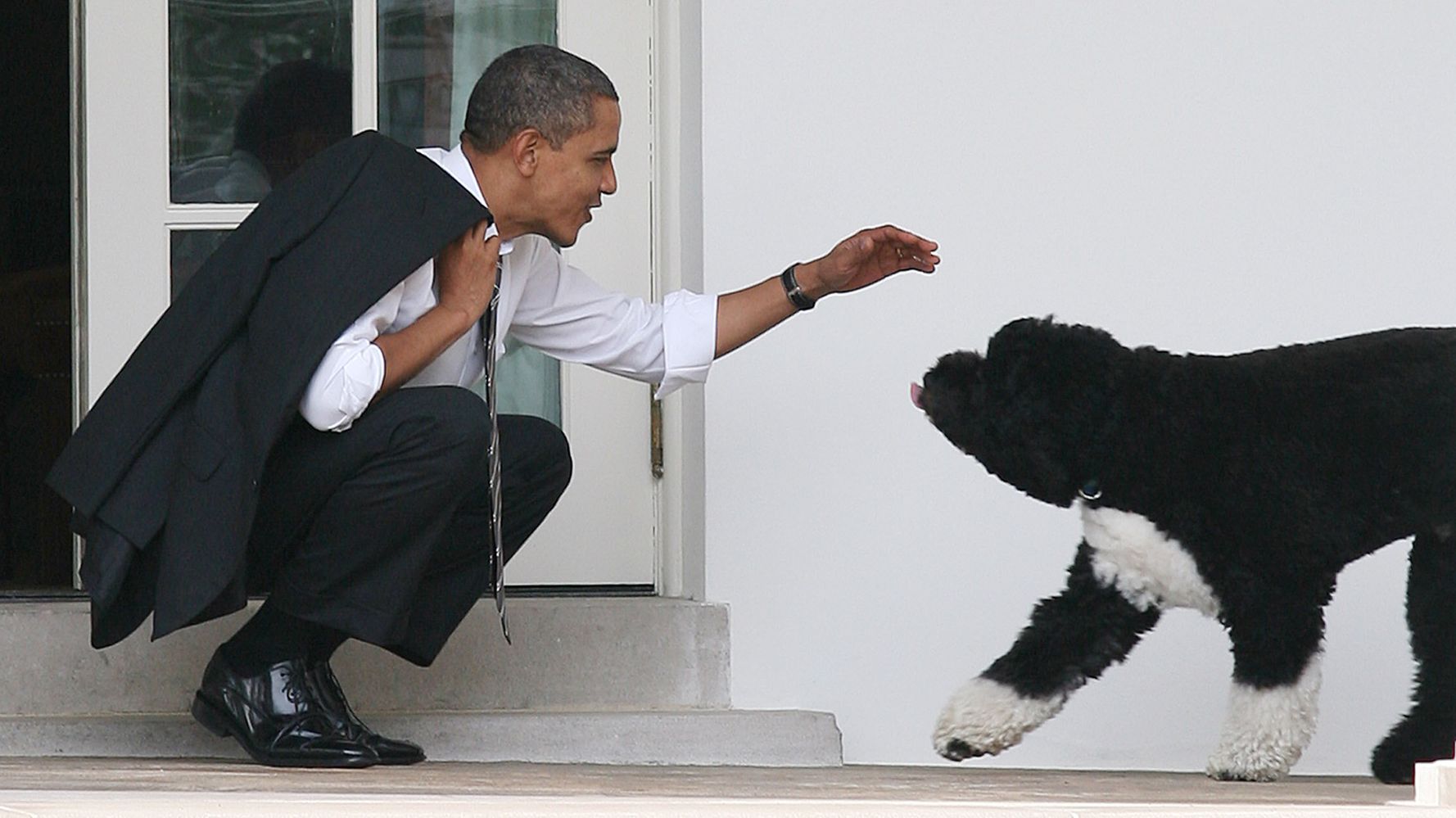 Barack Obama Announces Family's Beloved Dog Bo Has Died