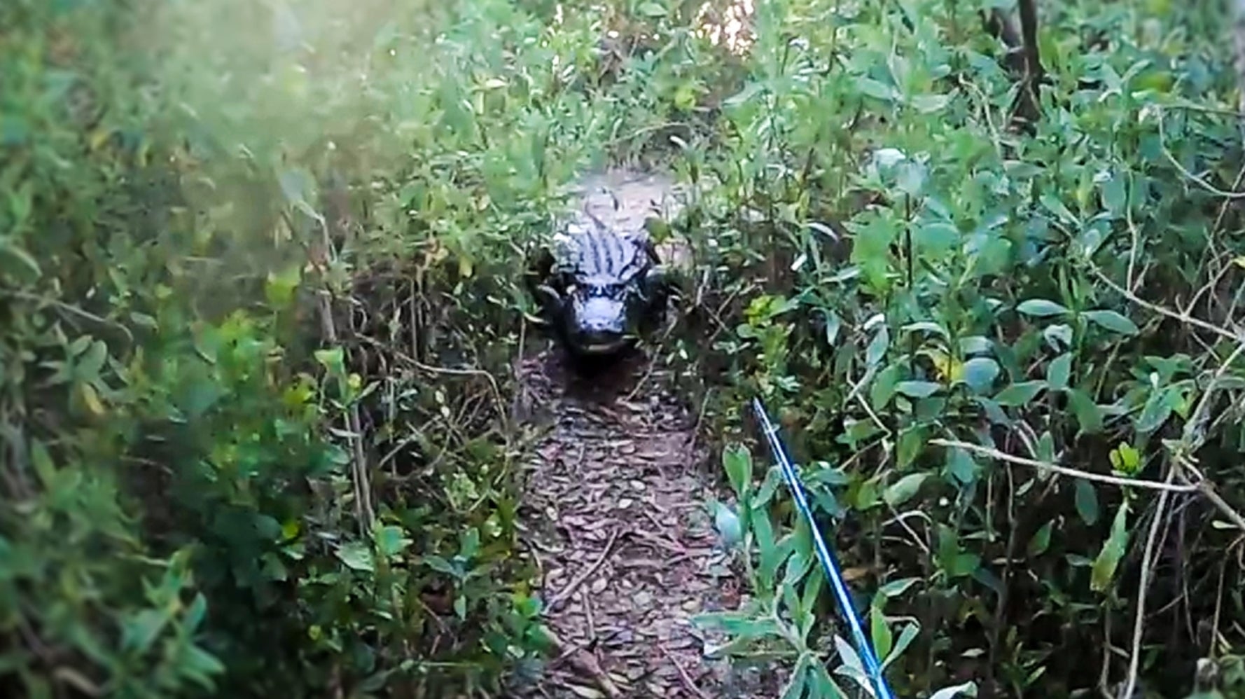 釣りしてたらワニが出てきてビックリ 逃げてる最中に転倒 緊張走る ハフポスト World 釣りしてたらワニが出てきてビックリ 逃げてる最中に転倒 緊張走る ハフポスト World