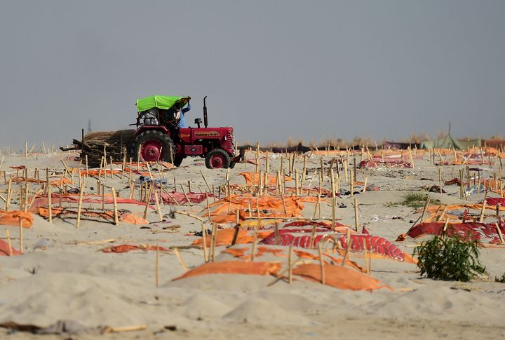 A tractor carries wood logs for cremations past shallow graves on the banks of the Ganges River.