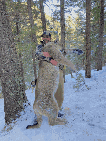 Montgomery told Colorado Parks and Wildlife that he shot a mountain lion with a handgun, a direct violation of his terms of p