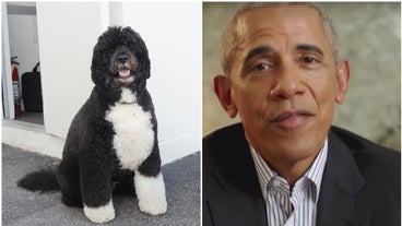uk barack obama