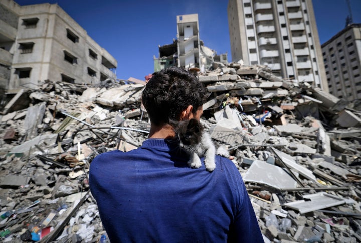 Ahmed Mosabeh, a 28-year-old Palestinian with special needs, holds one of several rescue kitten he cares for next to a destro