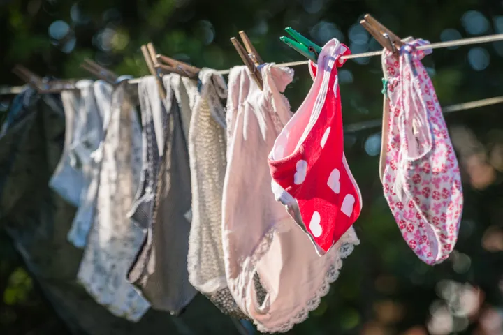 Trendy, Clean Used Panties From Japan in Excellent Condition