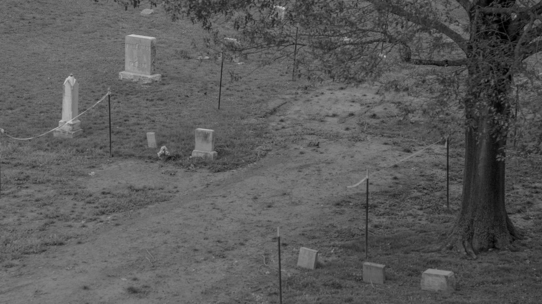 The 1921 Tulsa Race Massacre And What Survivors And Descendants Are Owed - Vimarsana News