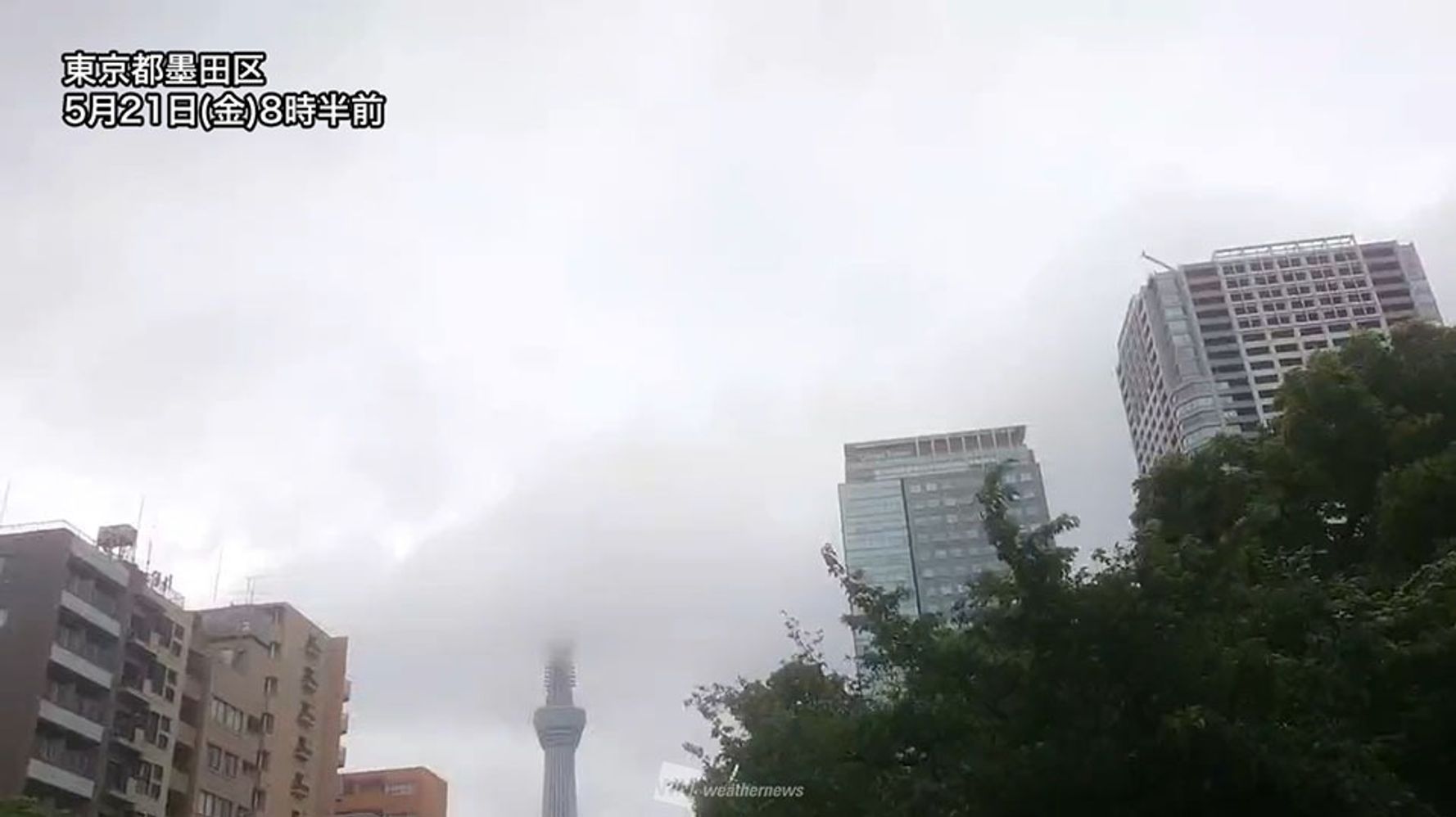 午後の関東 東京の天気は 傘を煽られないように注意 ハフポスト