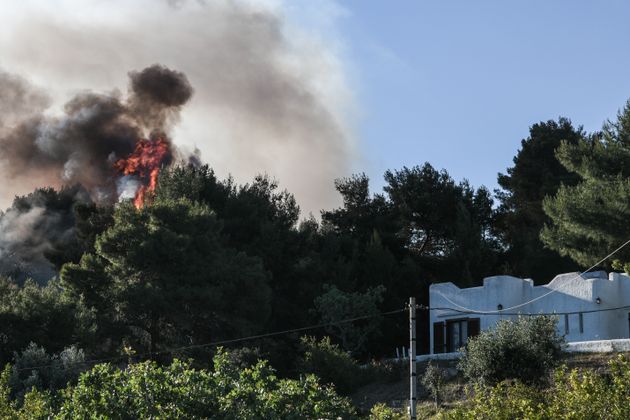 Το μέτωπο στο Αλεποχώρι σήμερα το