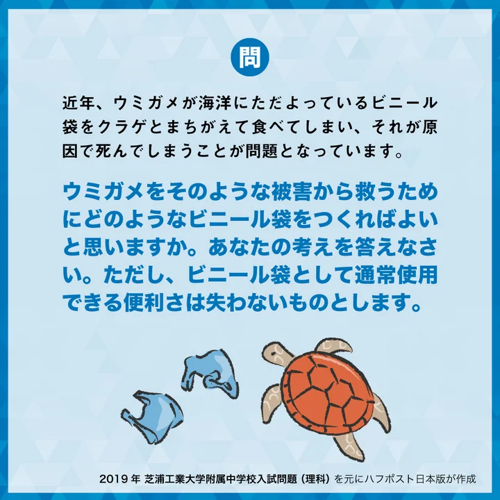 ウミガメを救うビニール袋 どう作ればよいか 実際の中学入試に出たsdgs問題 あなたならどう解く ハフポスト