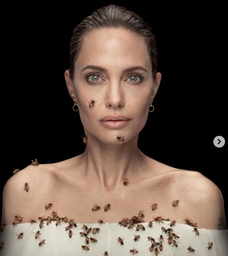 Angelina Jolie recouverte d'abeilles pour faire passer un message