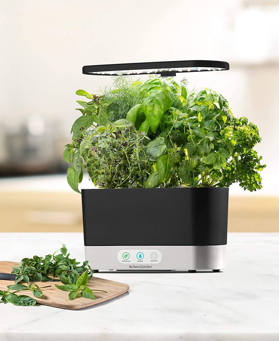 33 Best Kitchen Gadgets That Chefs Actually Use and Love in 2021