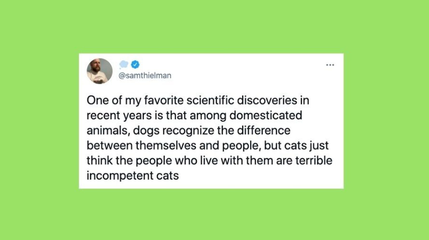 24 Of The Funniest Tweets About Cats And Dogs This Week May 15 21 24 of the funniest tweets about cats and dogs this week may 15 21