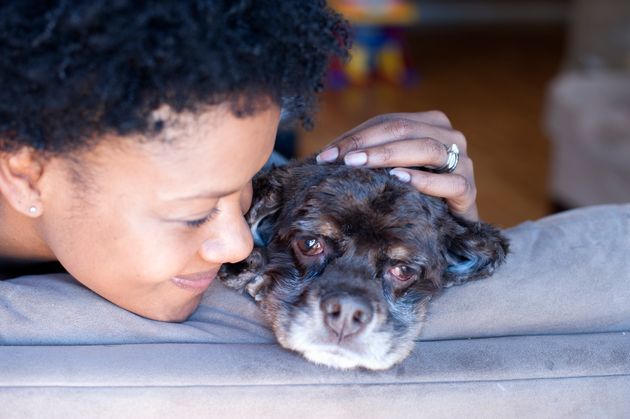 Set aside time for a walk and play before you leave for work in the morning.