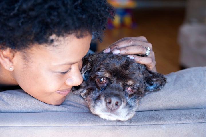 Set aside time for a walk and play before you leave for work in the morning.