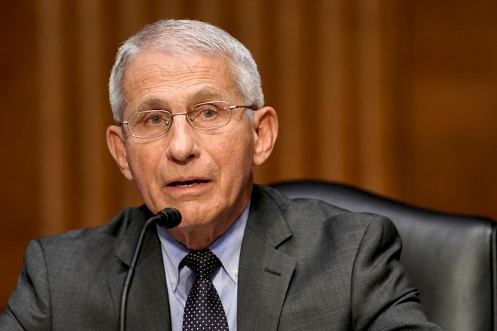 Dr. Anthony Fauci, director of the National Institute of Allergy and Infectious Diseases, speaks during a Senate committee hearing earlier this month.