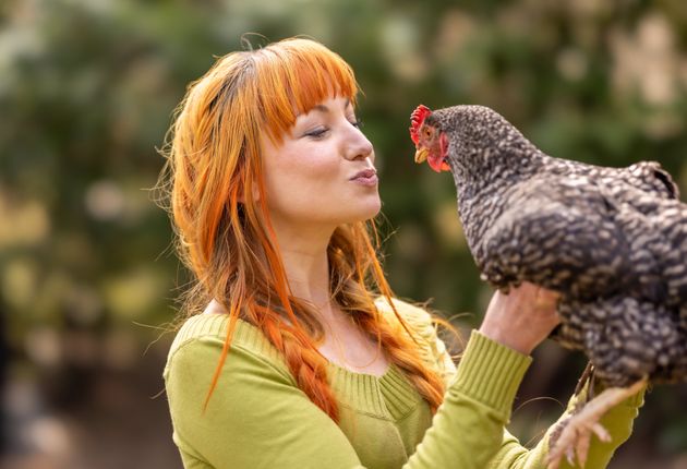 CDC σε Αμερικανούς: Μην αγκαλιάζετε τις κότες