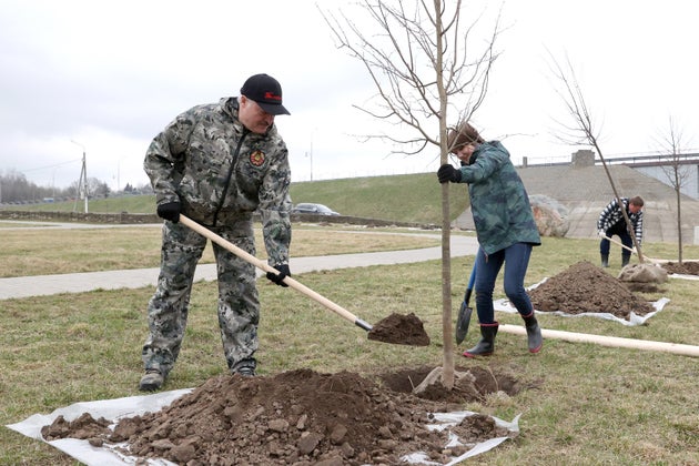 Φυτεύει και