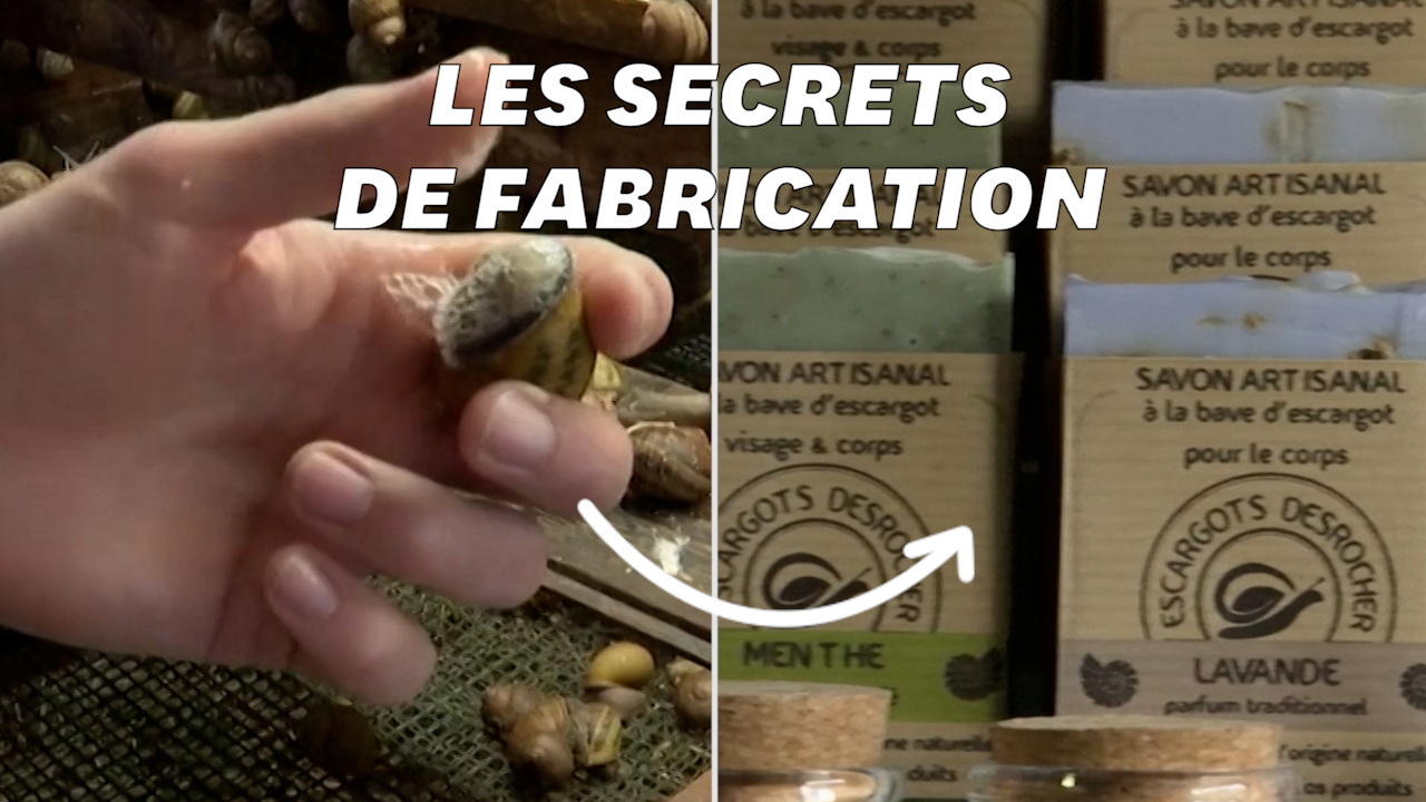 Comment les cosmétiques à la bave d’escargot sont-ils fabriqués?