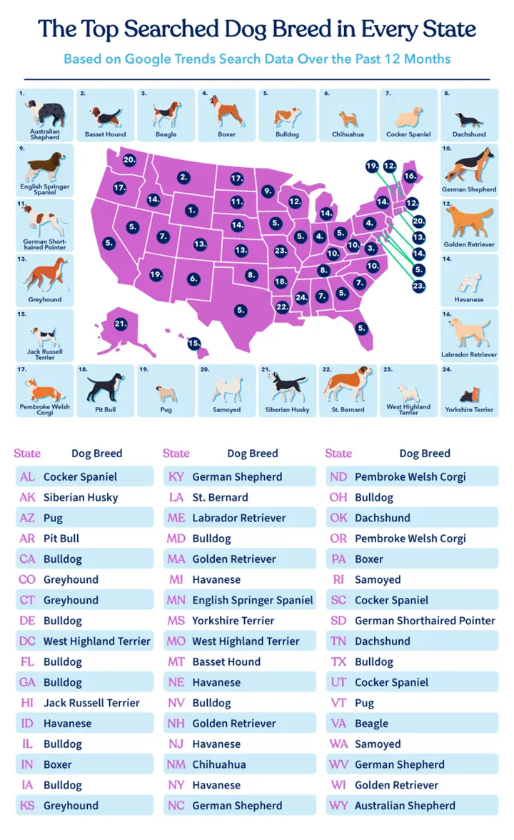 Popular Dog Breeds by State in the U.S.