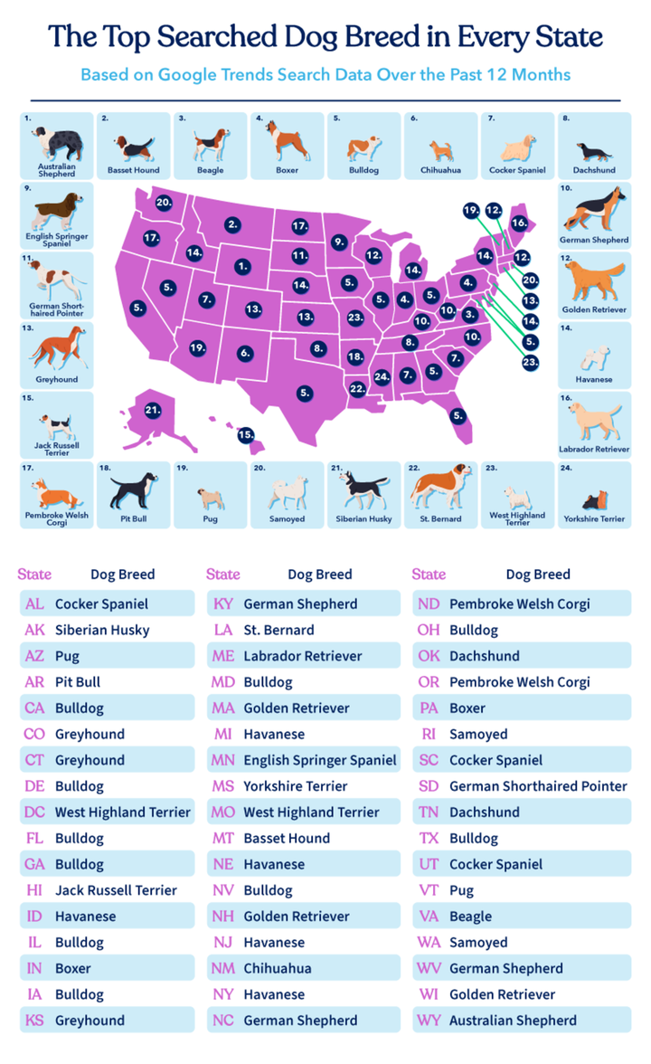 The Most Popular Dog in Every State