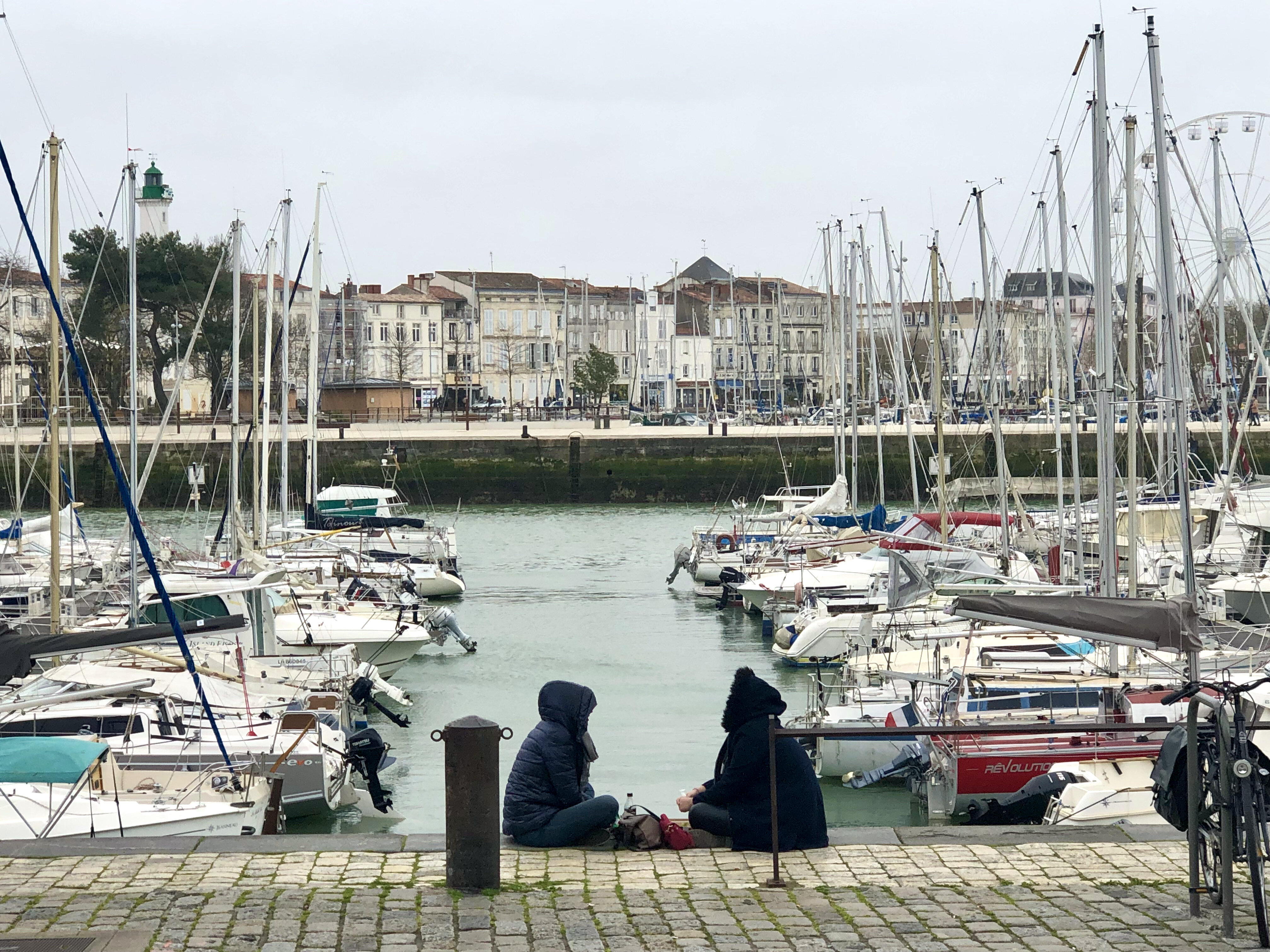 À La Rochelle, un morse perdu fait une sieste dans le port de pêche