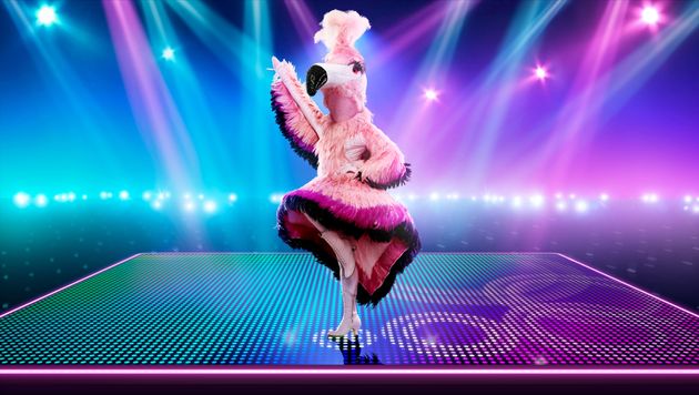 Flamingo was second to be unmasked on The Masked Dancer