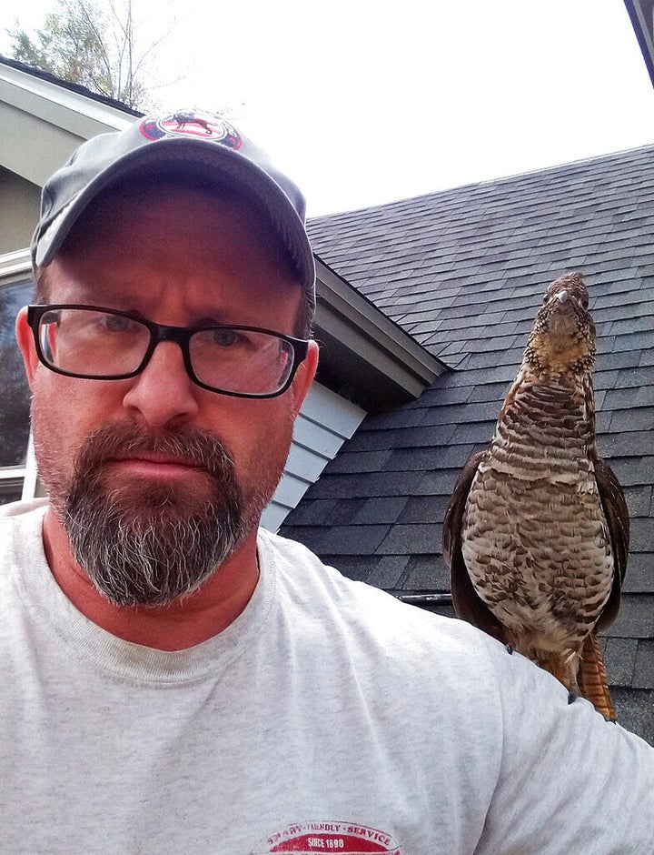 In this recent photo by Mary Beth Westward, a wild grouse, who is called "Walter" by their family, sits perched on the should
