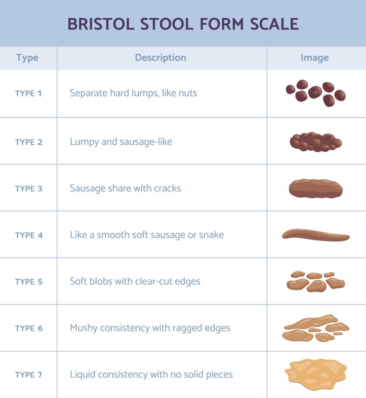 Bristol Stool Chart: Is Your Poop Healthy?