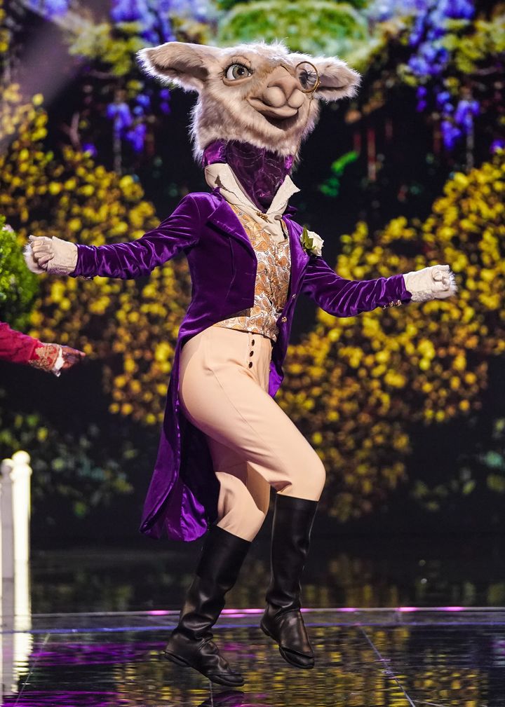 Zoe performing as Llama on The Masked Dancer