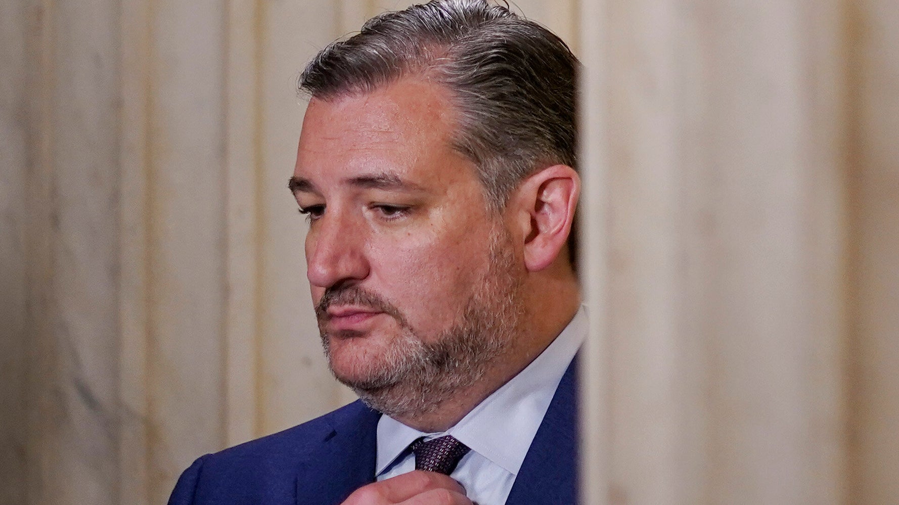 Republicans Throw Relatives Under The Bus For Donald Trump In Damning CNN Bit