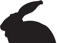 ウサギ カラス だまし絵で見た ような動物の姿が話題に 名前は いたずら ハフポスト ウサギ カラス だまし絵で見た ような動物の姿が話題に 名前は いたずら ハフポスト