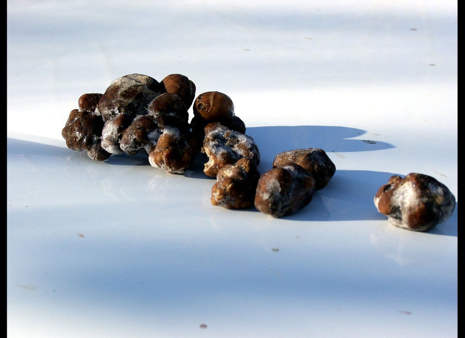 Pecan Truffles