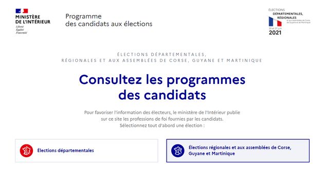 Vous pouvez consulter les programmes des candidats en ligne sur le site du ministère de l'Intérieur.