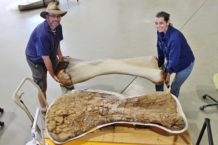 Οι γιατροί Σκοτ Χόκναλ και Ρόμπιν Μακένζι ποζάρουν με μία τρισδιάσταση αναπαράσταση οστού του γιγάντιου δεινόσαυρου που βρέθηκε στο Κουίνσλαντ της Αυστραλίας. REUTERS