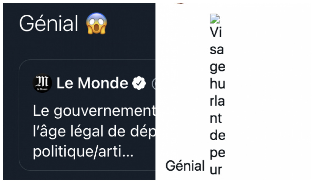 Touché par un bug des emoji, Twitter ne ressemblait plus à ça