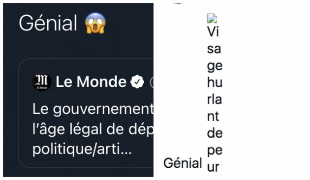 Un bug sur le réseau social Twitter a provoqué l'absence des emoji dans les tweets des internautes