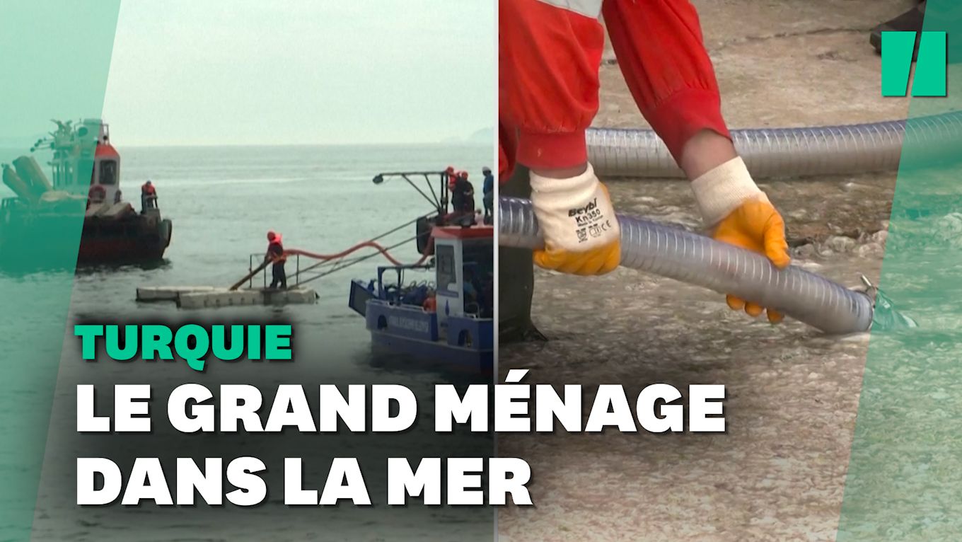 En Turquie, l'opération de nettoyage de la "morve de mer" a débuté