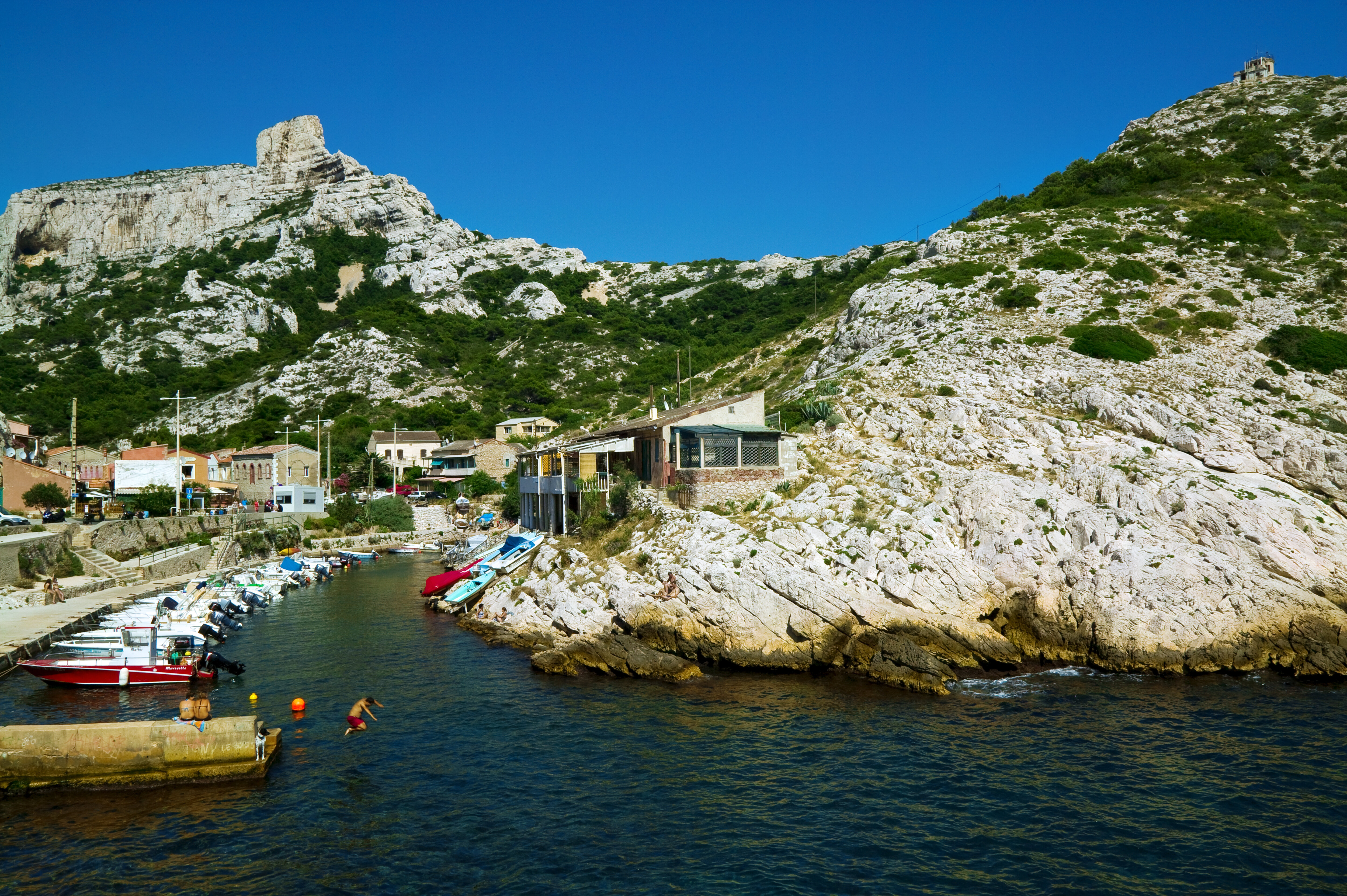 Dans les calanques de Marseille, cette algue verte inquiète