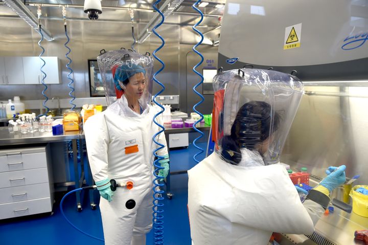 Scientists work at the Wuhan Institute of Virology