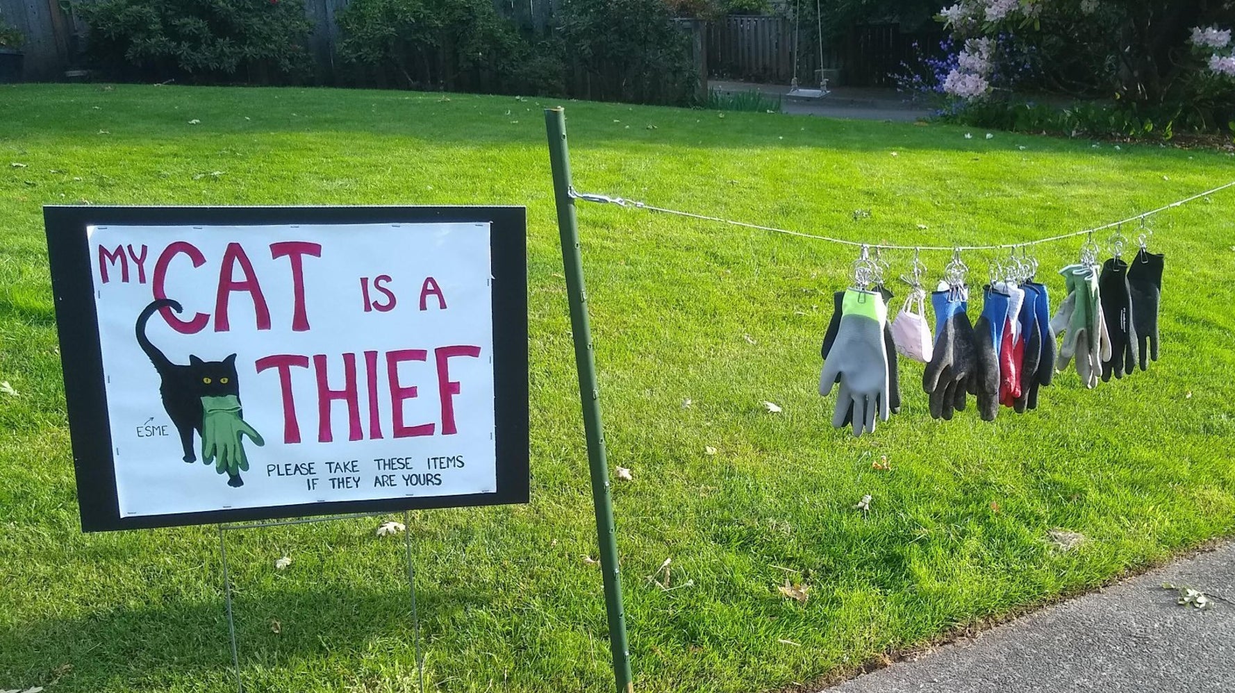 うちの猫は泥棒です 盗み癖のある猫 看板を出される ネットで人気者に ハフポスト