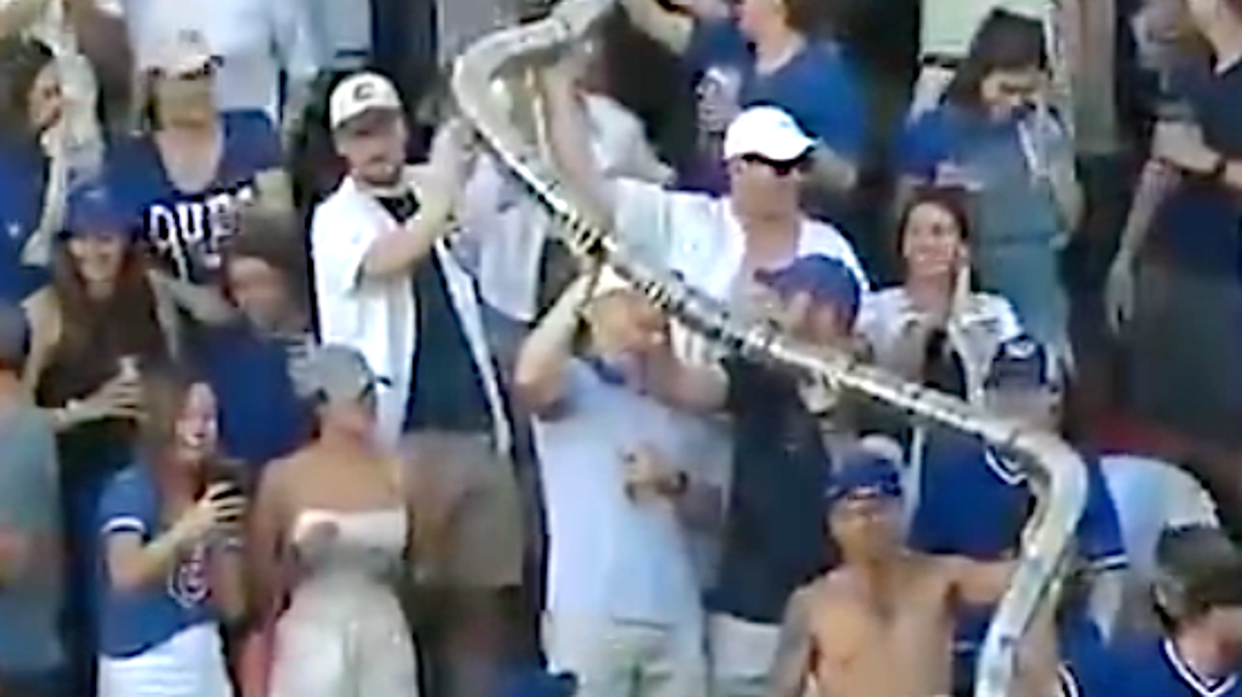 Stephen Colbert Sells Hot Dogs at Chicago Cubs Game