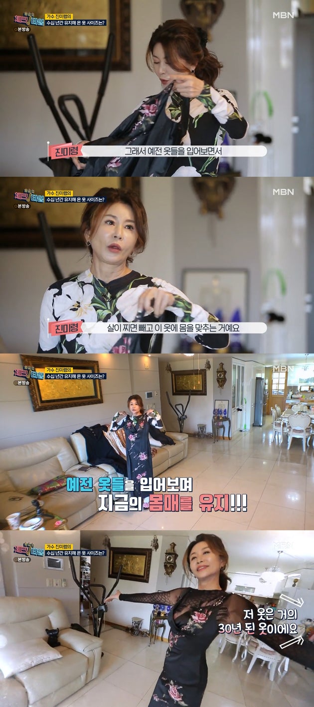 진미령