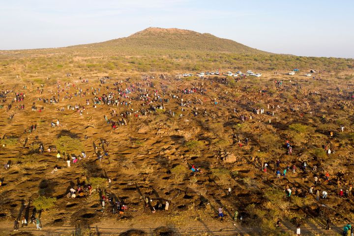 未確認の鉱石発見で「ダイヤモンド」ラッシュに沸く南アフリカ東部の原野