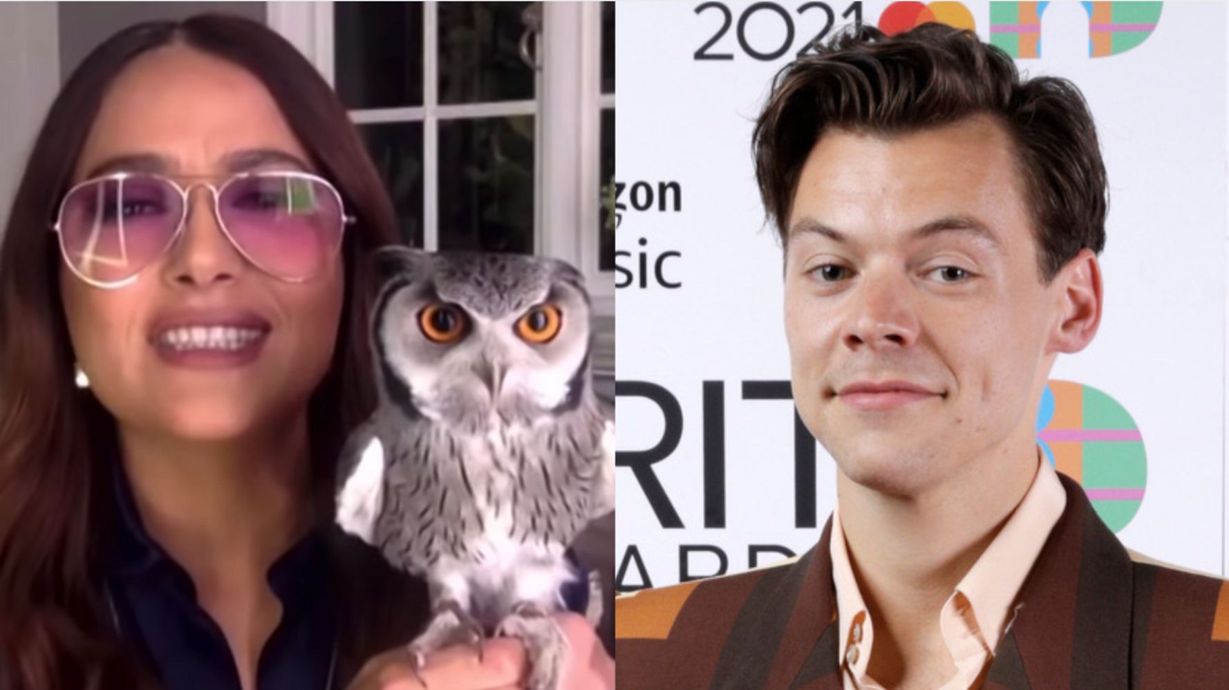 Salma Hayek's Story About Pet Owl And Harry Styles Has Marvel Fans Going In One Direction