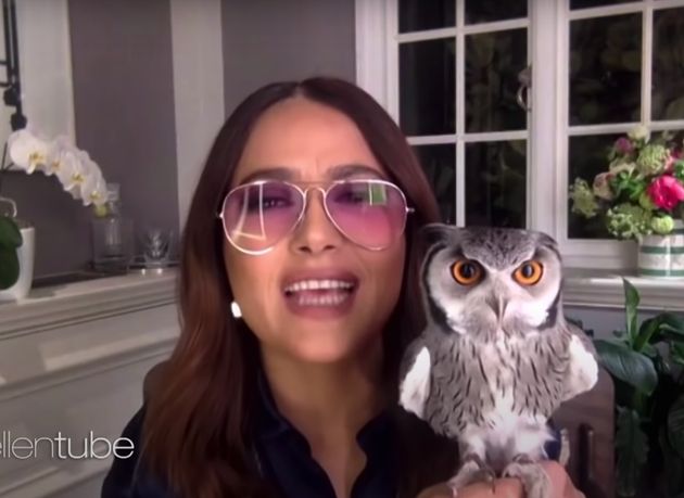 Salma Hayek and her owl, Kering.