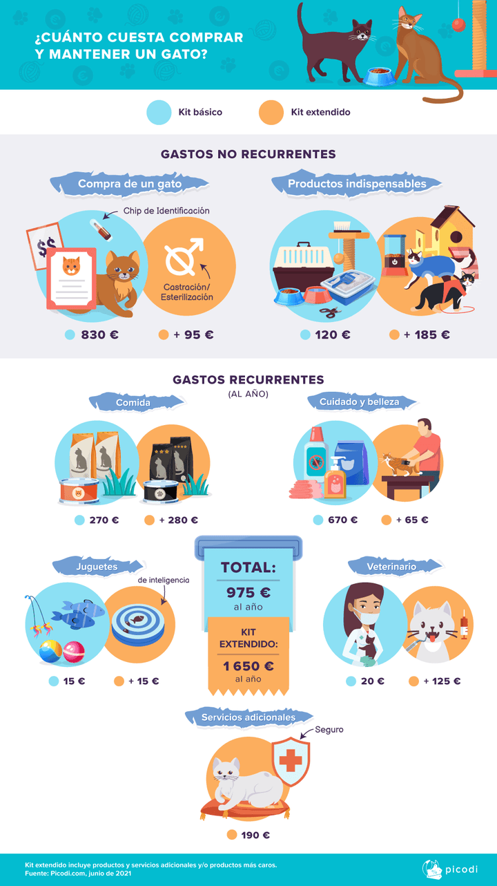 Infografía de los gastos estimados anuales que supone tener un gato.