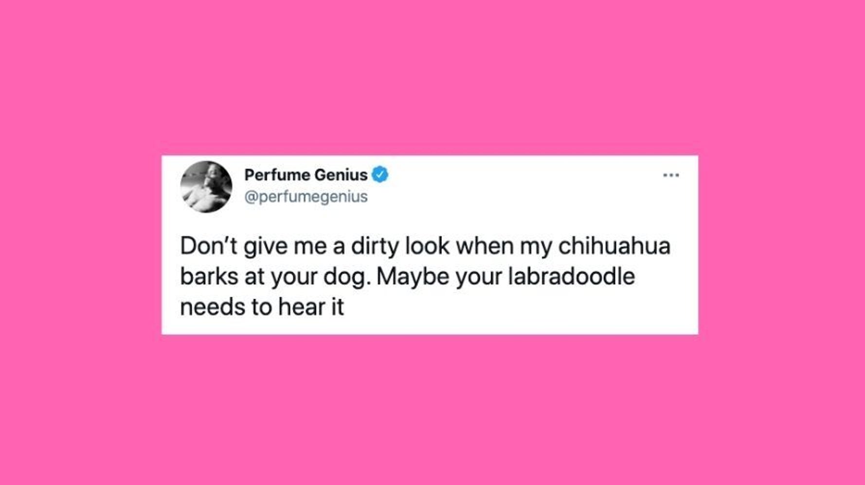 32 Of The Funniest Tweets About Cats And Dogs This Week June 12 18 32 of the funniest tweets about cats and dogs this week june 12 18