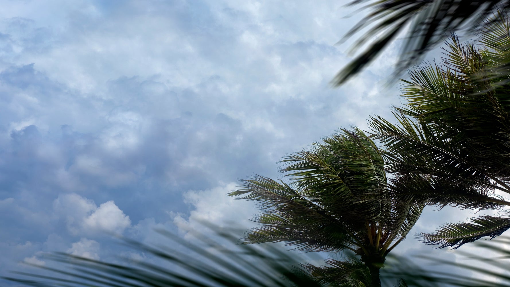 Tropical Storm Claudette Bears Down On Gulf Coast With Heavy Rain