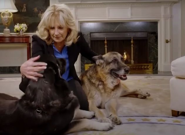 Champ, le chien de Joe et Jill Biden, décède à 13 ans