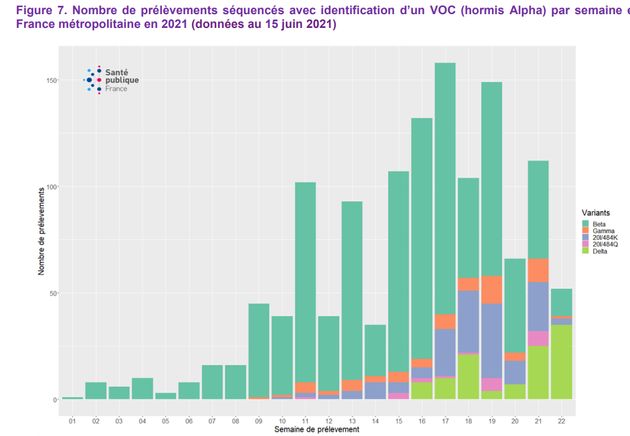 L'évolution des différents variants sur les cas de Covid-19 séquencés en France (hors variant alpha, dominant pour le moment)