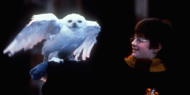 (GERMANY OUT) Harry Potter Und Der Stein Der Weisen Daniel Radcliffe Harry Potter (Daniel Radcliffe) (Photo by United Archives/ullstein bild via Getty Images)