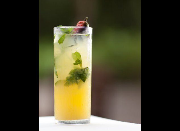 Lemon-Basil Jalapeño Tequila Cocktail